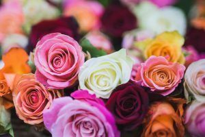 Allen Mortuary | Send Flowers