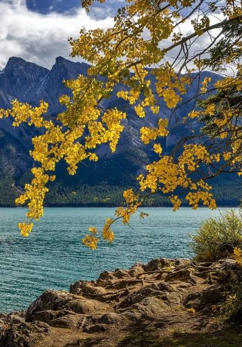 lake-5961239_1280