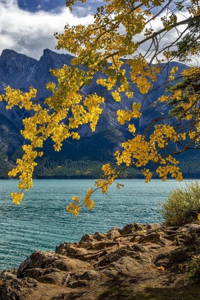lake-5961239_1280