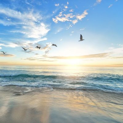beach-1852945_1280