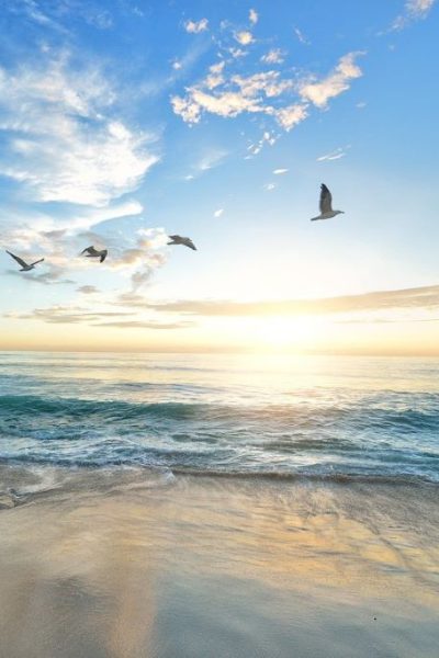 beach-1852945_1280