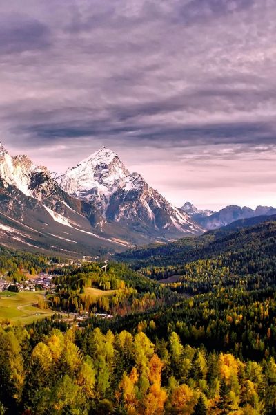 pexels-pixabay-247416