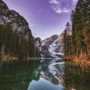 pexels-eberhardgross-1097491 pexels-eberhardgross-1097491